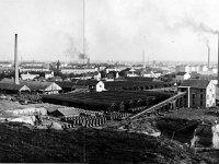 Ciglana na Črnomercu 1930. godine  Od svojeg osnivanja pa kroz cijelo dvadeseto stoljeće Ciglana Zagreb bila je jedan od najvažnijih objekata u zapadnom dijelu Zagreba. Zapošljavala je stotine radnika. Njezin pokretač Adolf Müller bio je poznat i kao kulturni mecena i svestrani poduzetnik, zasadio je voćnjake na Kustošiji, na Müllerovom brijegu. Kao kulturni projekt, Müller je otvorio kino Balkan, kasnije Europa, koje danas ne radi, u današnjem Prolazu sestara Baković. Drugo kino otvorio je na mjestu na kojem se danas nalazi kazalište Gavella.